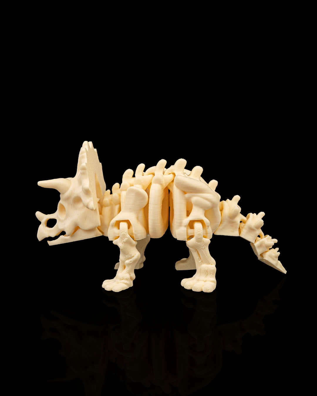 Skeleton Desk Buddy Triceratops