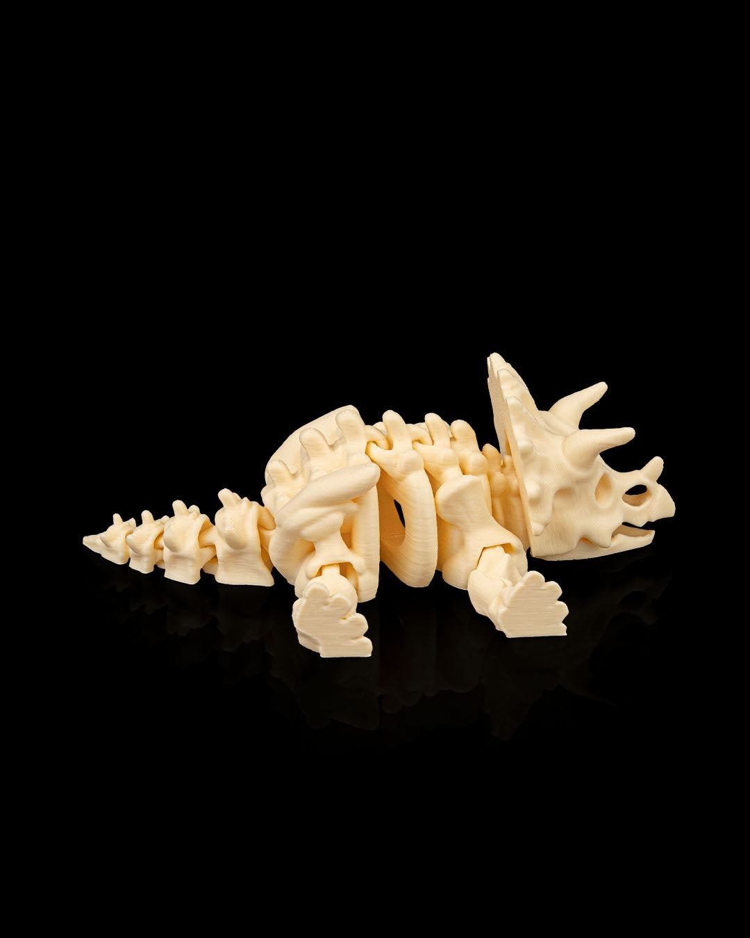 Skeleton Desk Buddy Triceratops