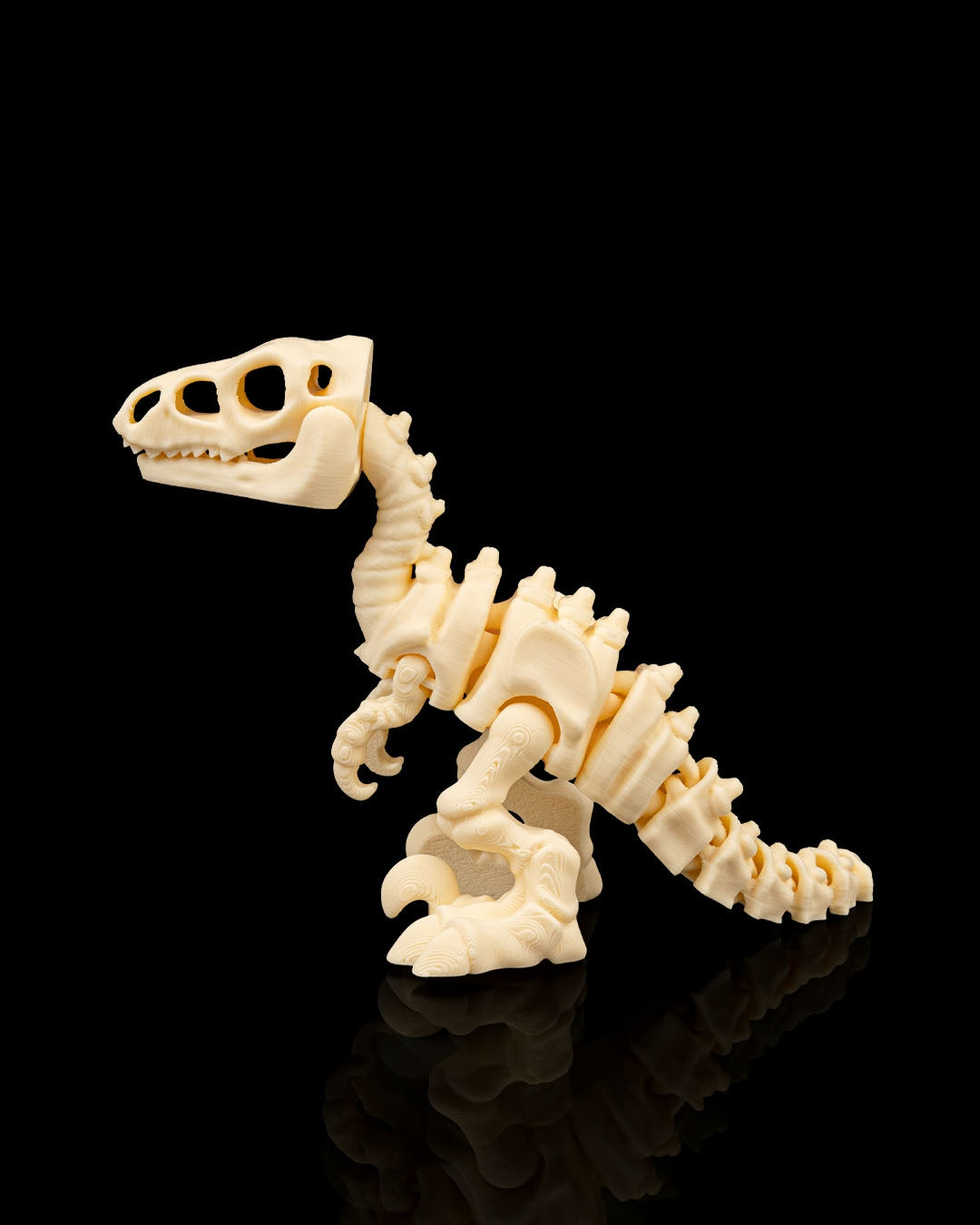 Skeleton Desk Buddy   Velociraptor